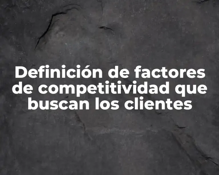 Definición de factores de competitividad que buscan los clientes