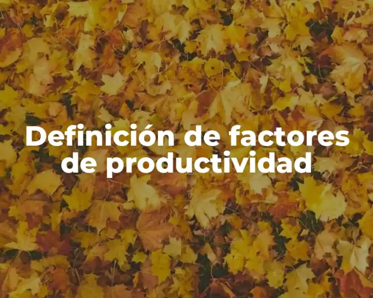Definición de factores de productividad