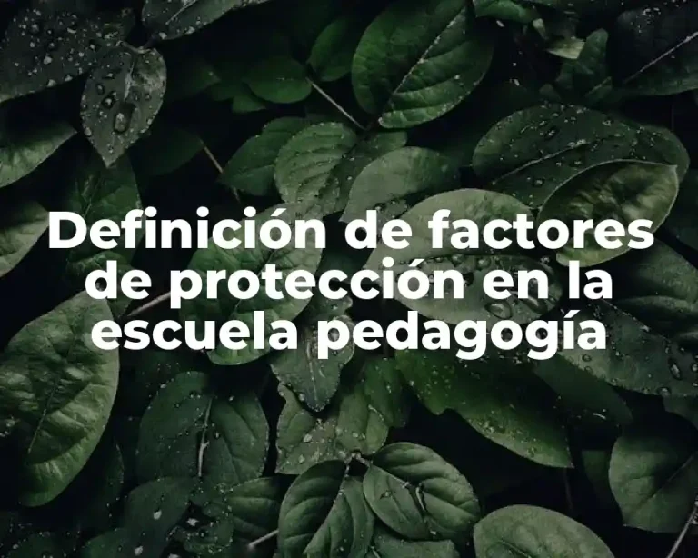 Definición de factores de protección en la escuela pedagogía