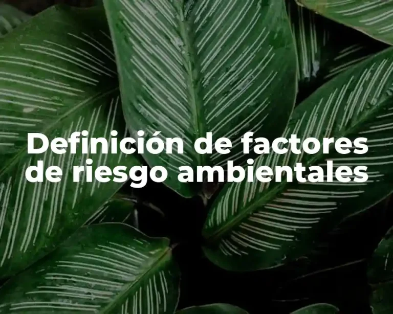 Definición de factores de riesgo ambientales