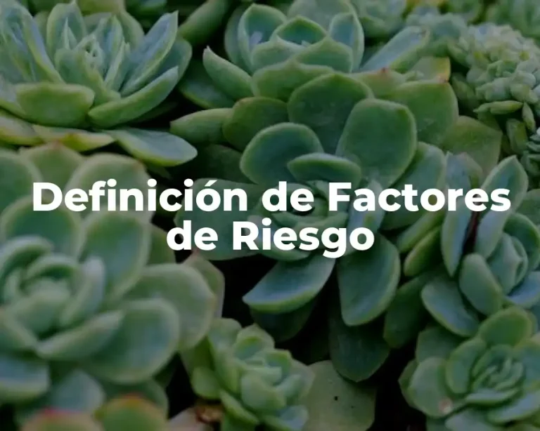 Definición de Factores de Riesgo