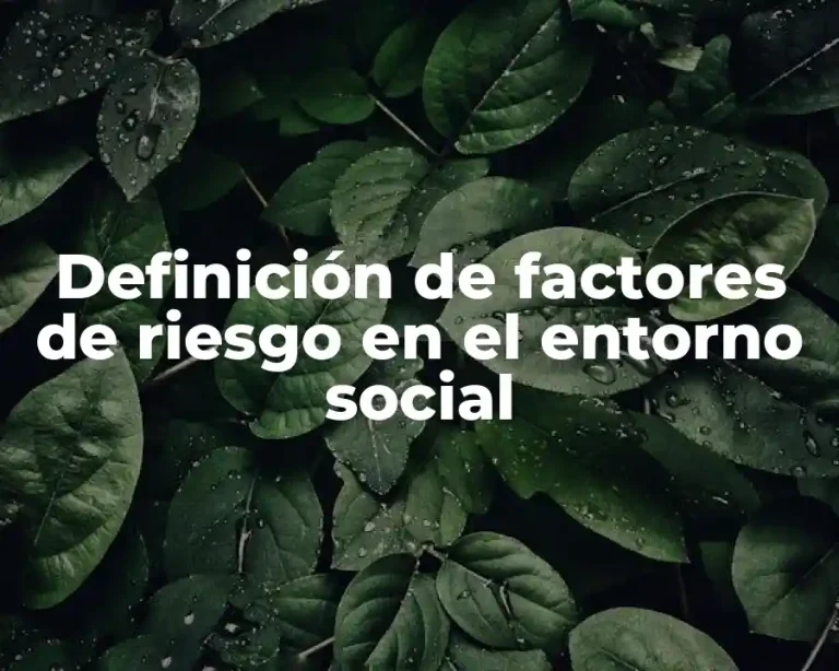 Definición de factores de riesgo en el entorno social