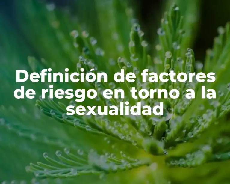 Definición de factores de riesgo en torno a la sexualidad