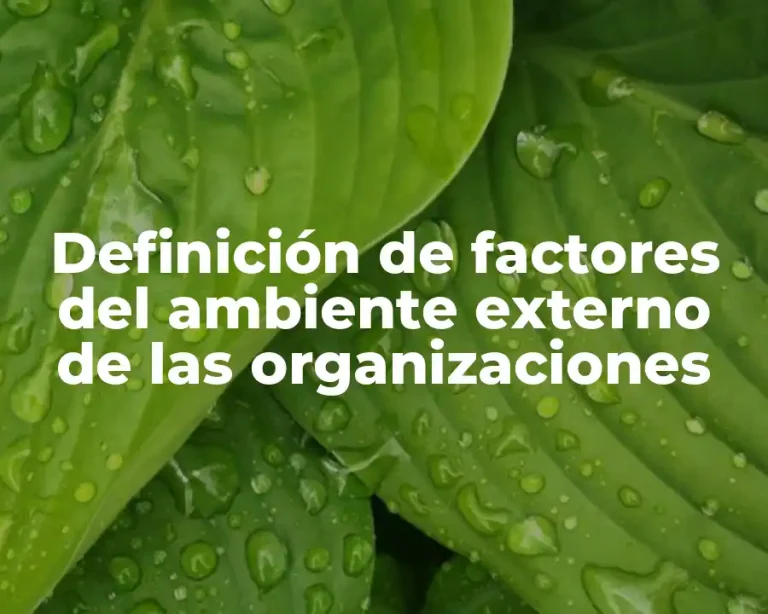 Definición de factores del ambiente externo de las organizaciones