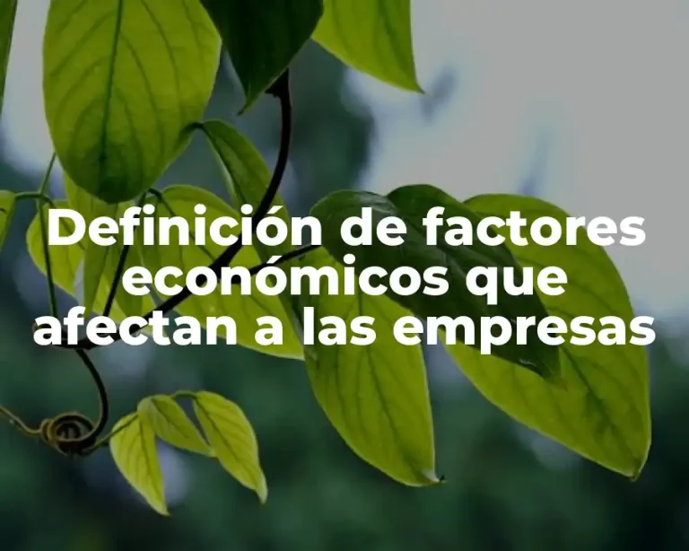 Definición de factores económicos que afectan a las empresas