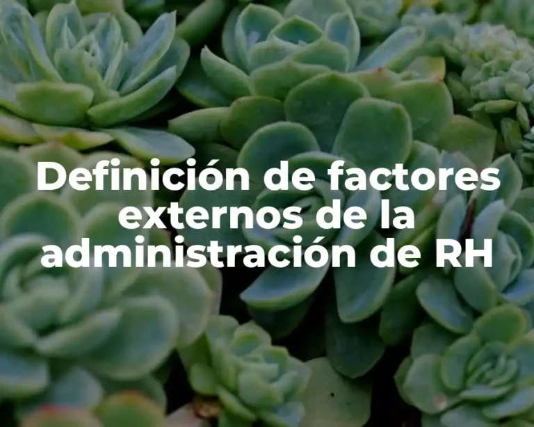 Definición de factores externos de la administración de RH