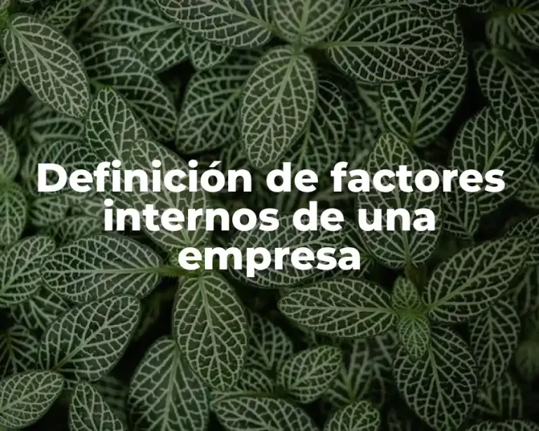 Definición de factores internos de una empresa