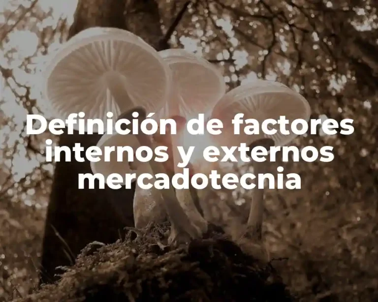 Definición de factores internos y externos mercadotecnia