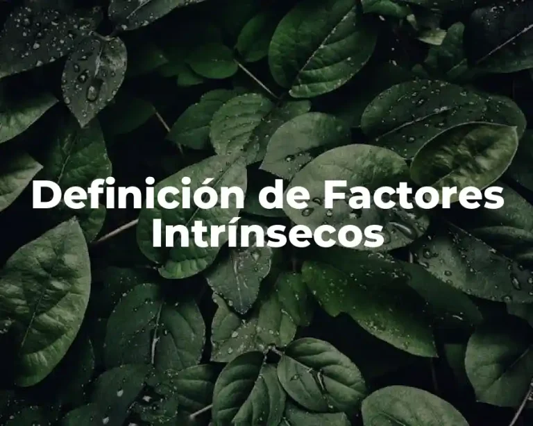 Definición de Factores Intrínsecos