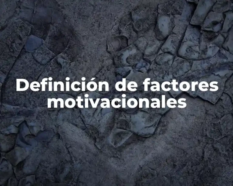 Definición de factores motivacionales