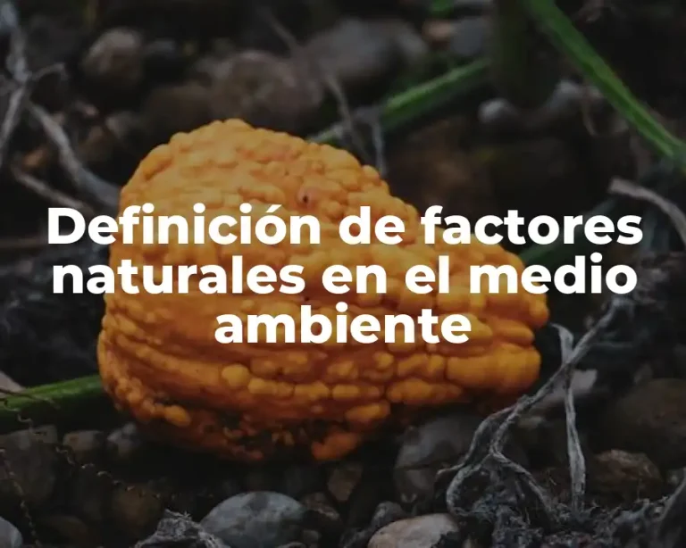Definición de factores naturales en el medio ambiente