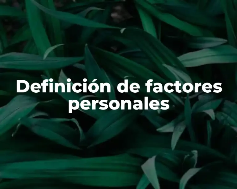 Definición de factores personales