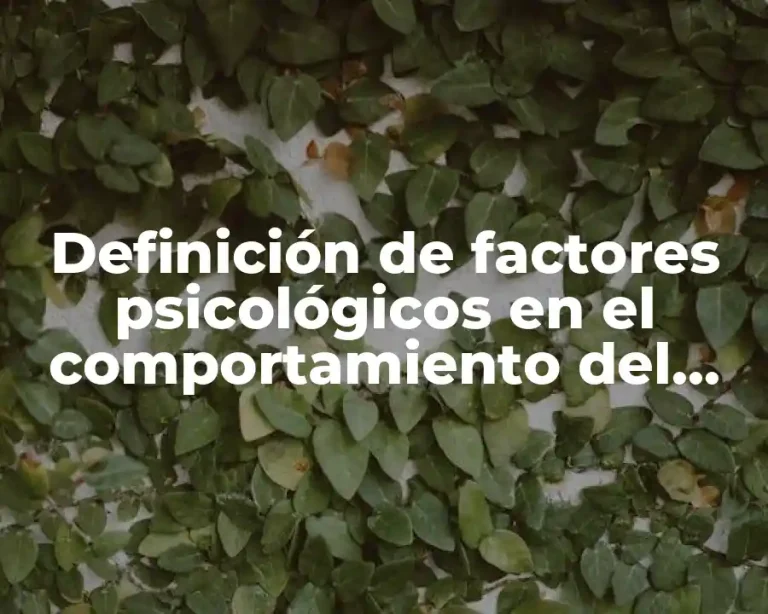 Definición de factores psicológicos en el comportamiento del consumidor