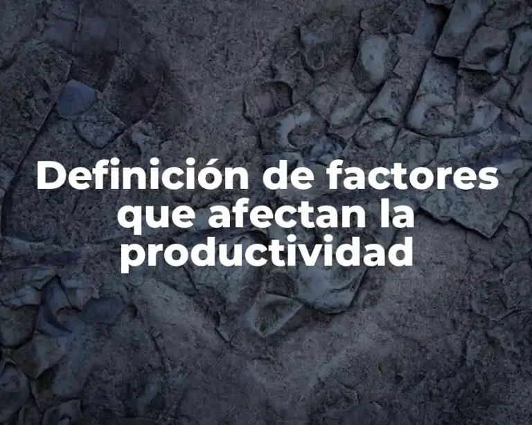 Definición de factores que afectan la productividad