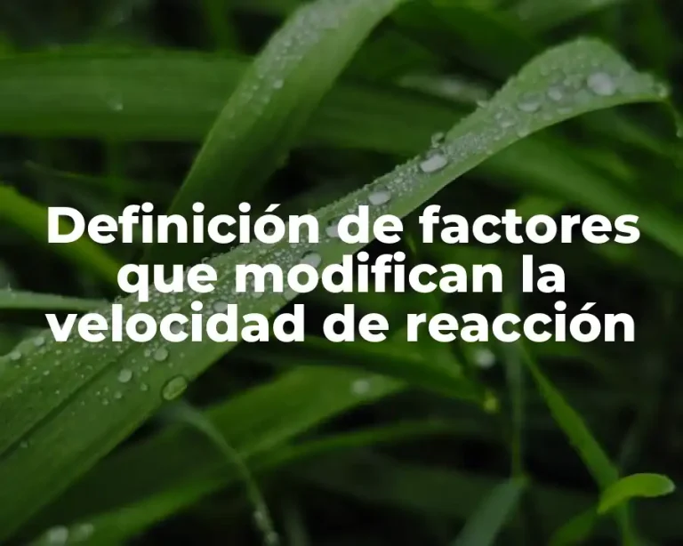 Definición de factores que modifican la velocidad de reacción