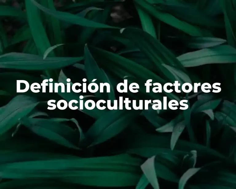Definición de factores socioculturales