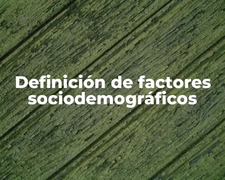 Definición de factores sociodemográficos