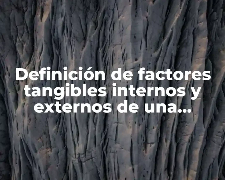 Definición de factores tangibles internos y externos de una empresa