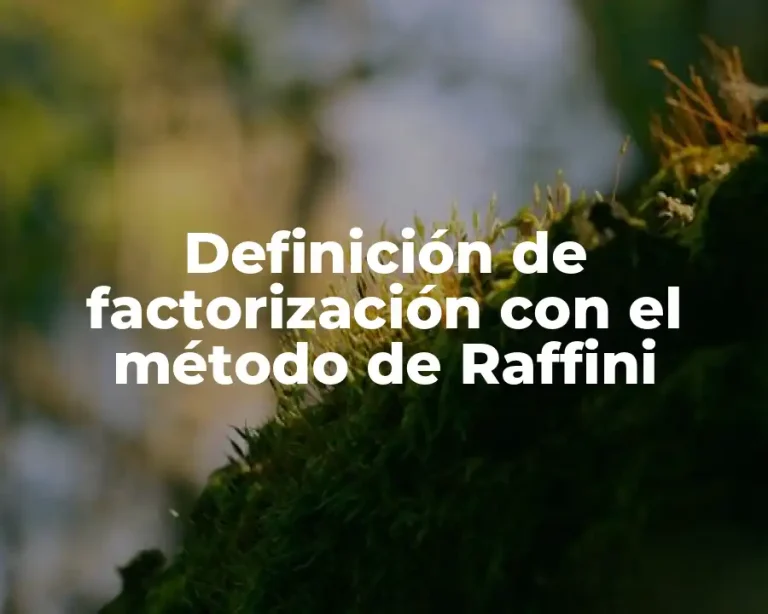 Definición de factorización con el método de Raffini