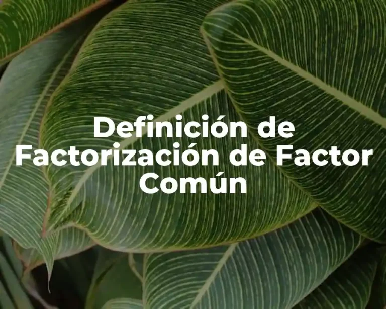 Definición de Factorización de Factor Común