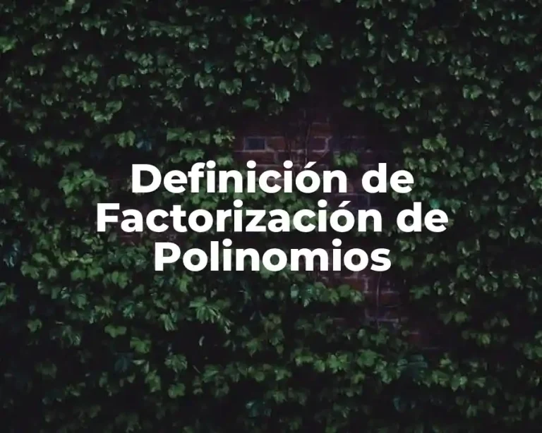 Definición de Factorización de Polinomios