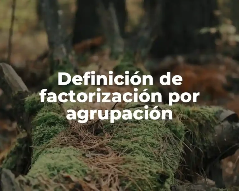 Definición de factorización por agrupación