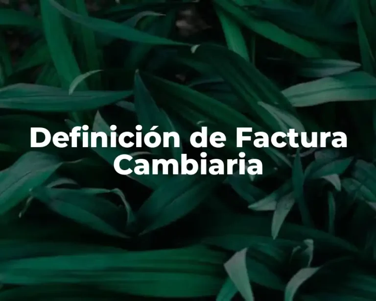 Definición de Factura Cambiaria
