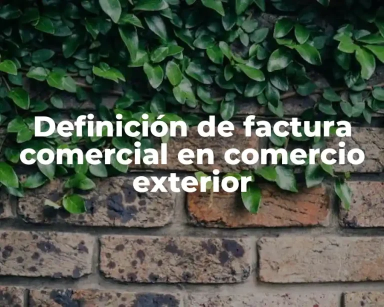 Definición de factura comercial en comercio exterior