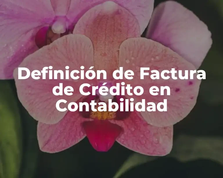 Definición de Factura de Crédito en Contabilidad