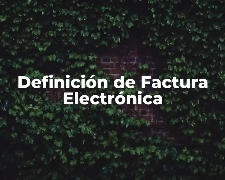 Definición de Factura Electrónica