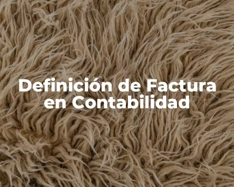 Definición de Factura en Contabilidad