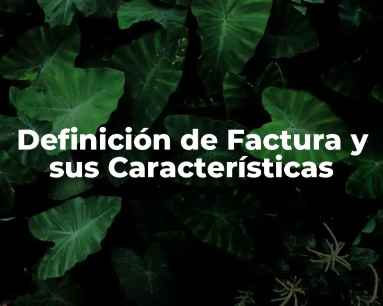 Definición de Factura y sus Características