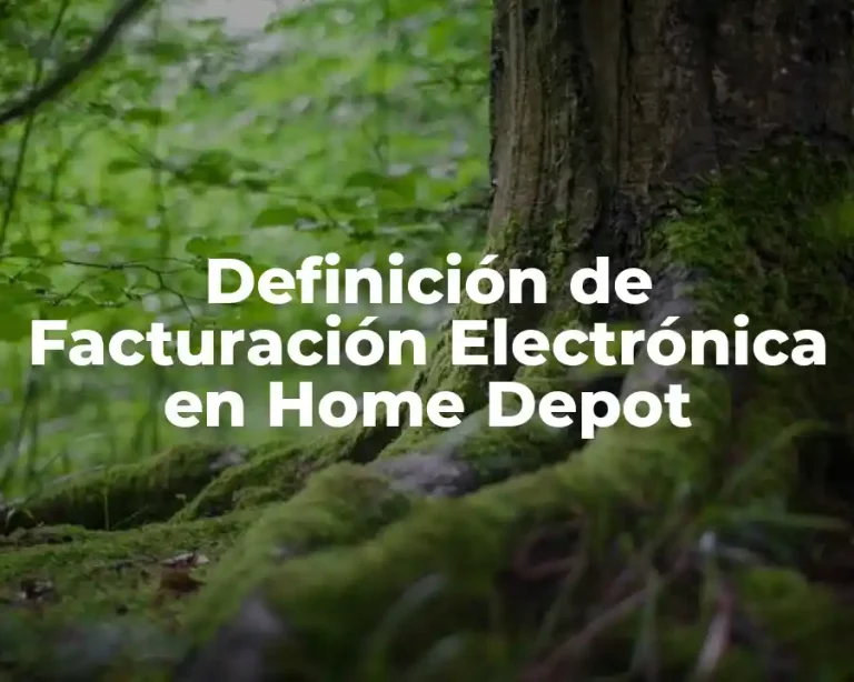 Definición de Facturación Electrónica en Home Depot