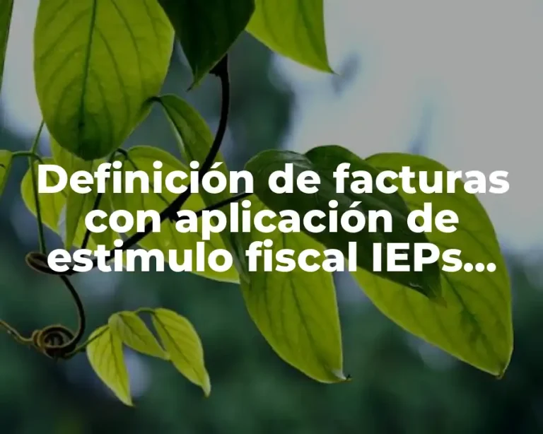 Definición de facturas con aplicación de estimulo fiscal IEPs diesel