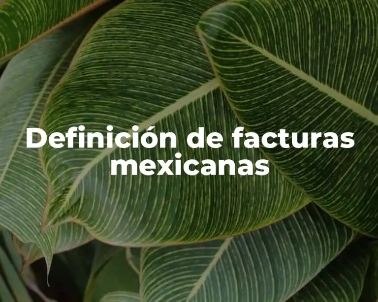 Definición de facturas mexicanas