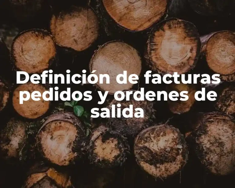 Definición de facturas pedidos y ordenes de salida