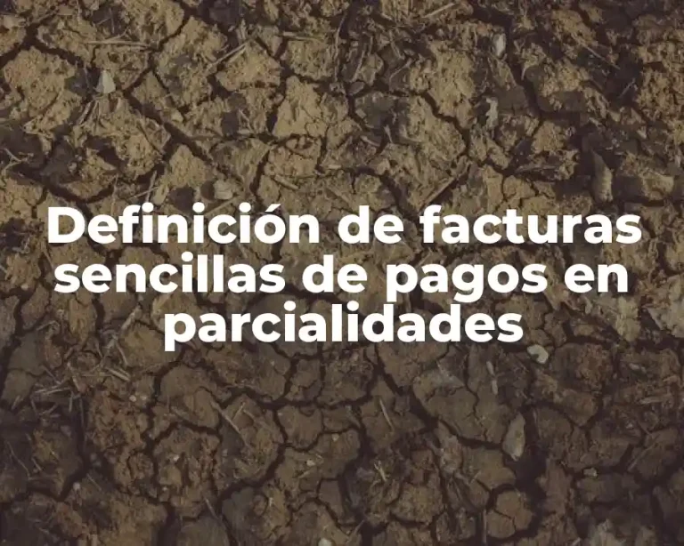 Definición de facturas sencillas de pagos en parcialidades