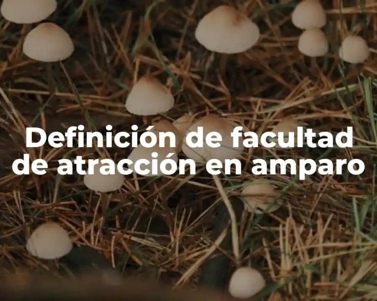 Definición de facultad de atracción en amparo