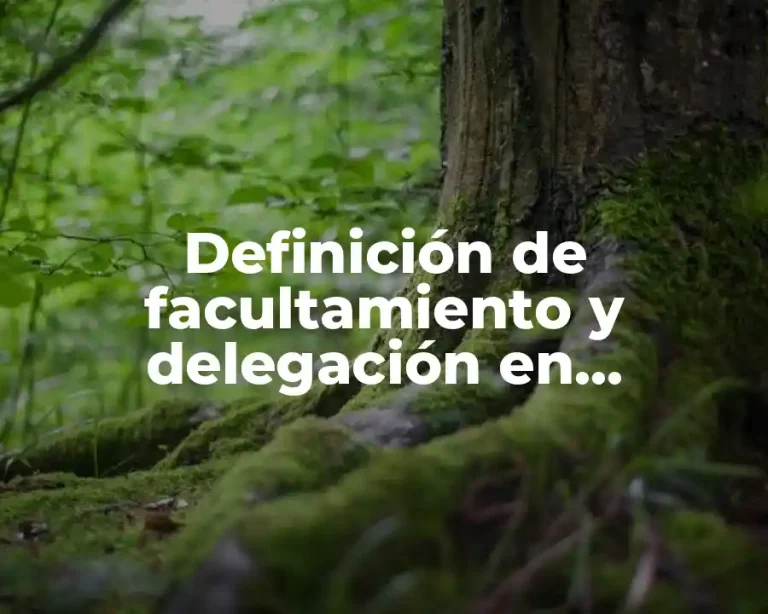 Definición de facultamiento y delegación en habilidades directivas