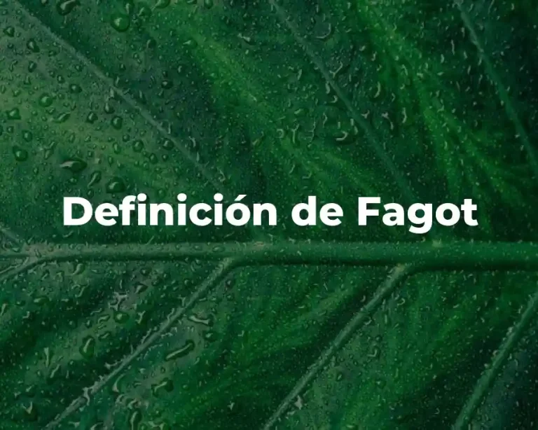 Definición de Fagot