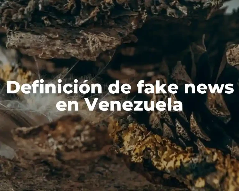 Definición de fake news en Venezuela