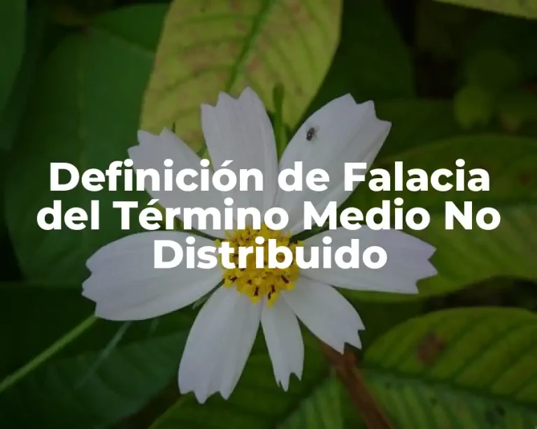Definición de Falacia del Término Medio No Distribuido