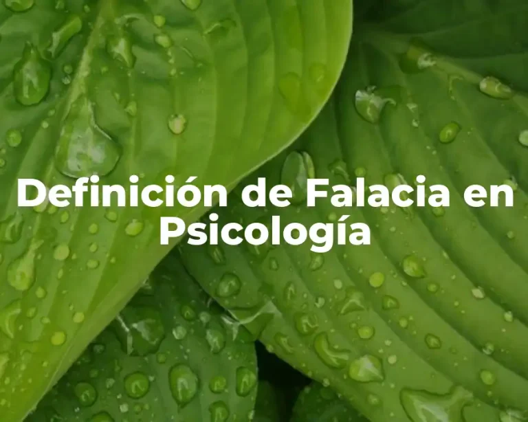 Definición de Falacia en Psicología