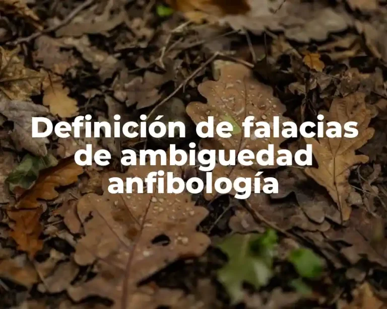 Definición de falacias de ambiguedad anfibología