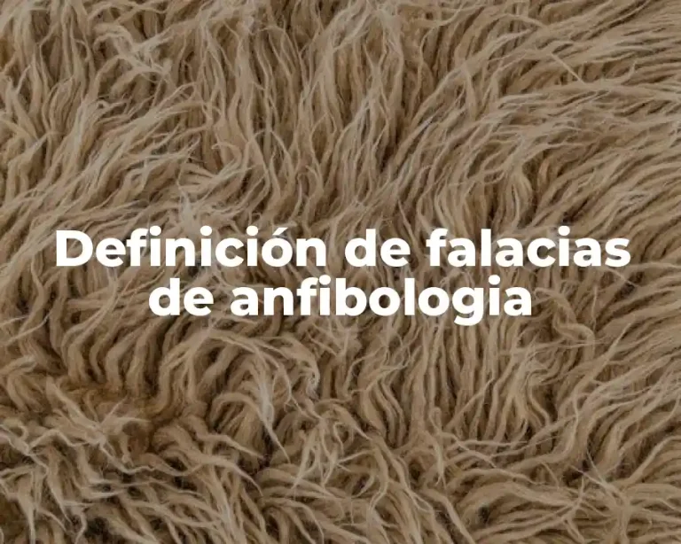 Definición de falacias de anfibologia