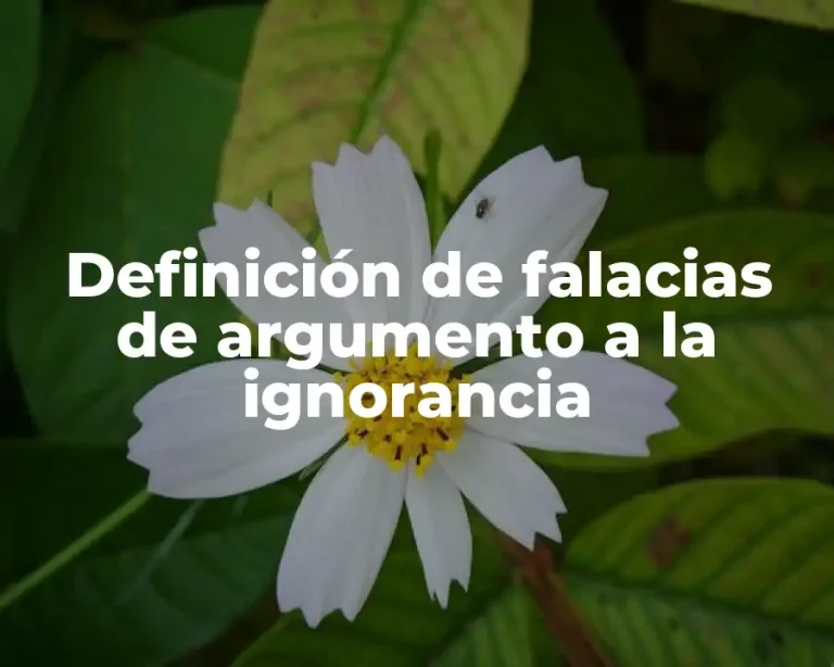 Definición de falacias de argumento a la ignorancia