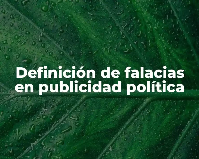 Definición de falacias en publicidad política