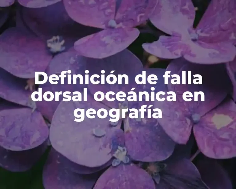 Definición de falla dorsal oceánica en geografía