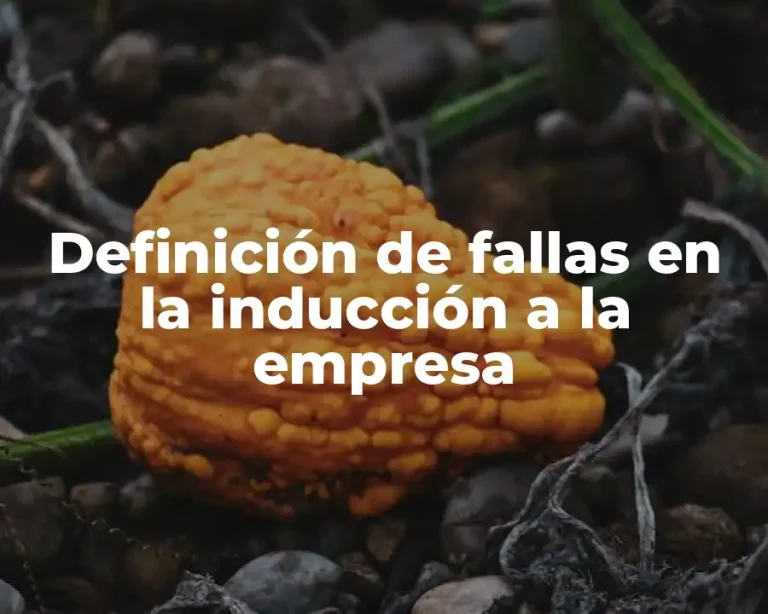 Definición de fallas en la inducción a la empresa