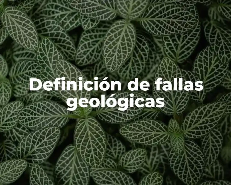 Definición de fallas geológicas
